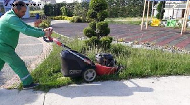 Büyükçekmece'nin yeşili koruma altında