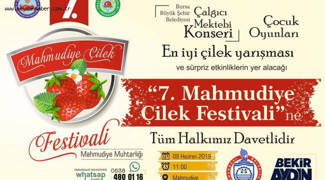 ÇİLEK TADINDA FESTİVAL BAŞLIYOR..
