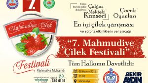 ÇİLEK TADINDA FESTİVAL BAŞLIYOR..