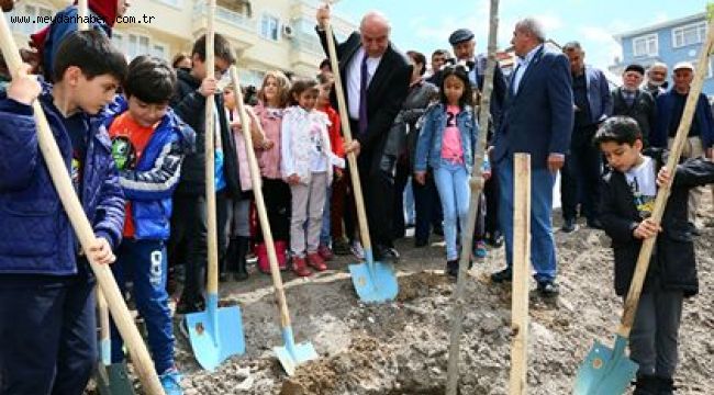 DAHA YEŞİL BİR KEÇİÖREN İÇİN KOLLAR SIVANDI