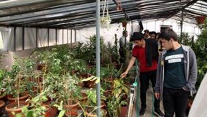 DOĞA DOSTU ÖĞRENCİLER, KARTAL BELEDİYESİ SERASINI ZİYARET ETTİ  