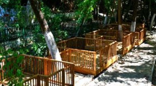 EŞSİZ GÜZELLİK YARDANÇAYI PİKNİK ALANI HİZMETTE