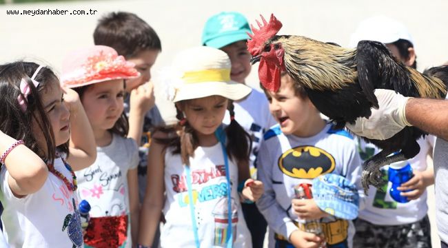 Hayvan sevgisini küçük yaşta öğreniyorlar