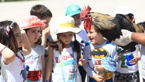 Hayvan sevgisini küçük yaşta öğreniyorlar