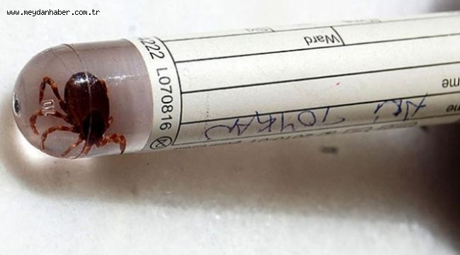 KKKA'dan hastaların yüzde 95'i kurtuluyor