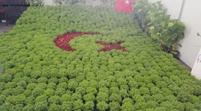 MANİSA ÇİÇEK FESTİVALİ BAŞLADI