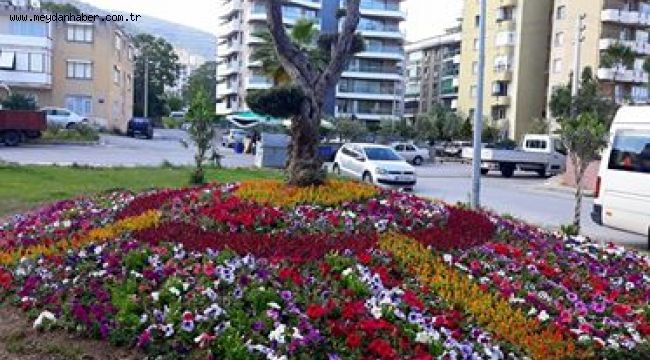 Narlıdere yaz çiçekleriyle süslendi