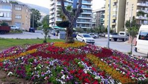Narlıdere yaz çiçekleriyle süslendi