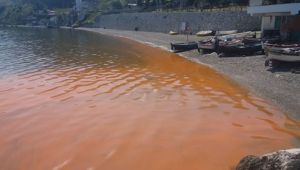 Panik yok; sadece alg patlaması