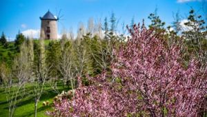 RAMAZAN EĞLENCELERİNİN YENİ ADRESİ: ALTINKÖY