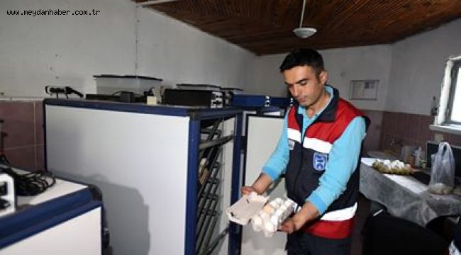 SİNCAN HAYVANAT BAHÇESİ'NDE KULUÇKA HEYECANI…