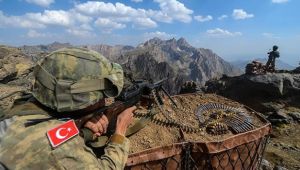 Sözde Gabar Dağı takım sorumlusu etkisiz hale getirildi