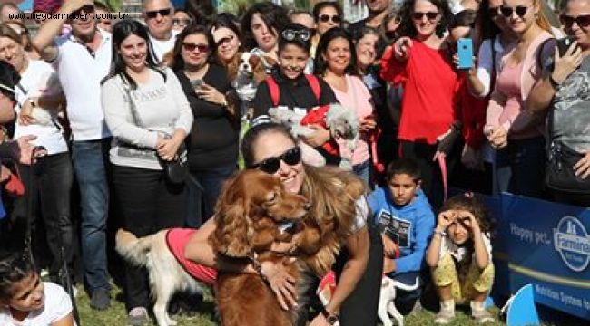 Tay Park'ta şenlik var