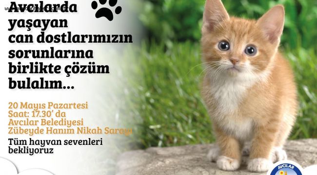 TURAN HANÇERLİ HAYVANSEVERLERLE BULUŞUYOR