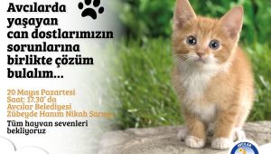 TURAN HANÇERLİ HAYVANSEVERLERLE BULUŞUYOR