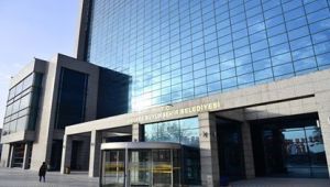 TÜRKİYE'DE BİR İLK: ÖLDÜRÜLEN SOKAK KÖPEKLERİ İÇİN MAHKEME'DEN MÜŞTEKİ SIFATIYLA BÜYÜKŞEHİR'E DAVET…