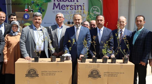 Üretici 'yaban mersini' ile kalkınıyor