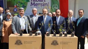 Üretici 'yaban mersini' ile kalkınıyor