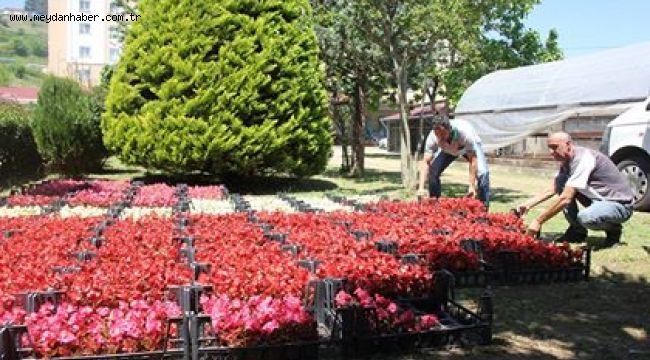 YAZLIK ÇİÇEKLER DİKİLİYOR