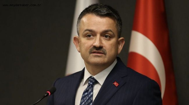 BAKAN PAKDEMİRLİ HAYALET AĞLAR İÇİN DALIYOR