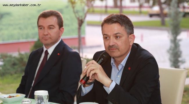 Bergama'dan Ankara'ya çam fıstığı seferberliği