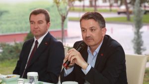 Bergama'dan Ankara'ya çam fıstığı seferberliği