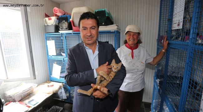 BODRUM'DA YALNIZ YAŞAMADIĞIMIZIN FARKINDAYIZ