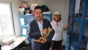 BODRUM'DA YALNIZ YAŞAMADIĞIMIZIN FARKINDAYIZ