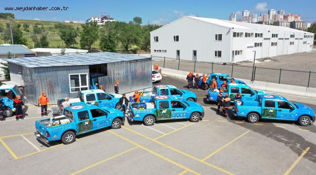 Ankara'da ilaçlama seferberliği…