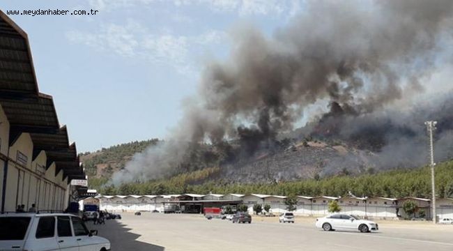 Fethiye'de orman yangını