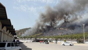 Fethiye'de orman yangını