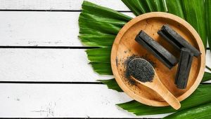 FINDIK KABUĞUNDAN KÖMÜR ÜRETİLECEK