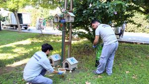 HAYVAN DOSTU BELEDİYE, KÜÇÜKÇEKMECE!