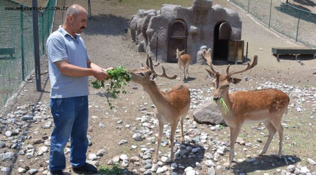 HAYVANAT BAHÇESİNE YENİ DOSTLAR GELİYOR