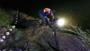 Kaçak balık avına 172 bin lira ceza kesildi