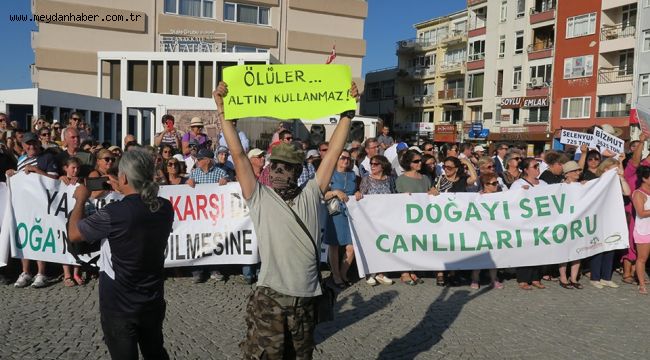 KAZDAĞLARI HEPİMİZİN