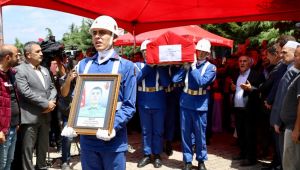 Ordu şehidine ağladı, binler şehidimiz için tek yürek oldu