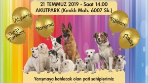 PAMUKKALE'DE HAYVAN DOSTLARI BİRARAYA GELİYOR