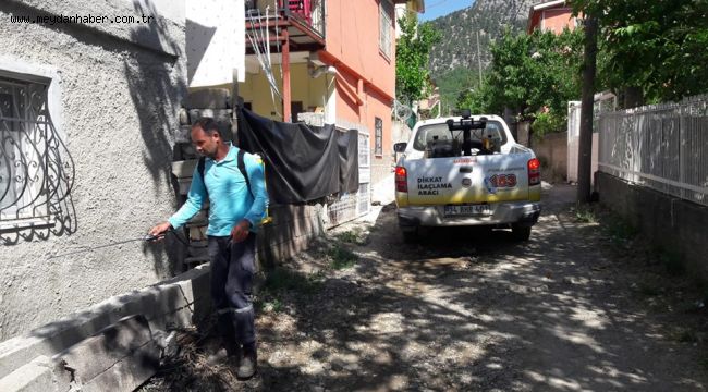Sivrisinekle mücadele aralıksız yapılıyor