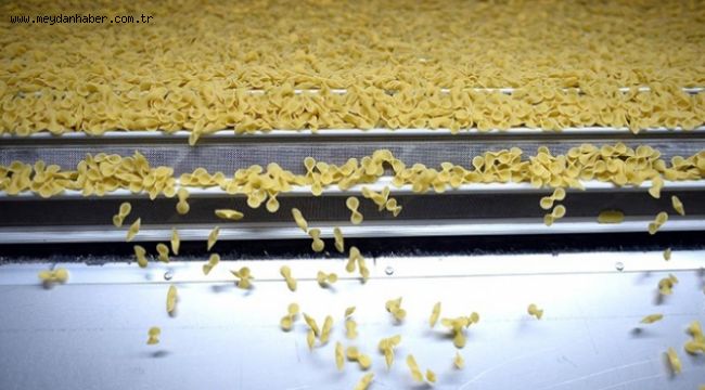 Türkiye'den 160 ülkeye makarna ihracatı