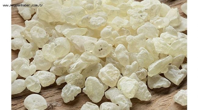 Urlalı 7 amazondan 'Sakız' atağı