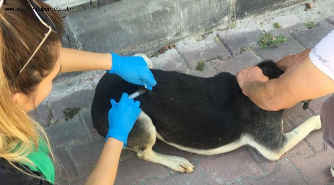 AŞILAMA EKİBİ MAHALLELERDE