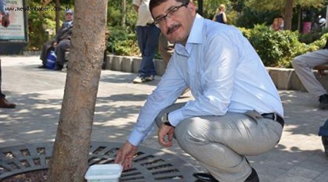 BAŞKAN ÇELİK'TEN SOKAK HAYVANLARI İÇİN ANLAMLI ÇAĞRI 