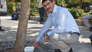 BAŞKAN ÇELİK'TEN SOKAK HAYVANLARI İÇİN ANLAMLI ÇAĞRI 