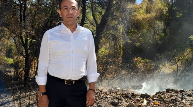 Başkan Oğuz: Yeniden ağaçlandıracağız