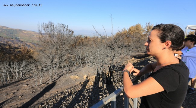 BAŞKAN SENGEL YANAN ORMANLAR İÇİN EFEMÇUKURU'NDA