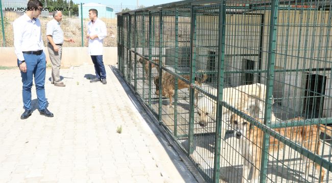 Can Dostlarımızın Sağlığı Büyükşehirle Güvende (Manisa BŞB Haberidir)