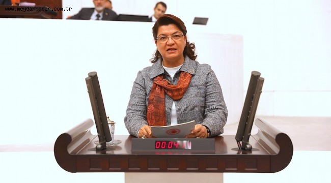 CHP'Lİ ŞAHİN: AKP'NİN POLİTİKALARI GENÇLERİ ÜLKEDEN KAÇIRIYOR !