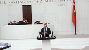 Cumhuriyet Halk Partisi İzmir Milletvekili ve Çevre Komisyonu Üyesi Ednan Arslan, orman yangınları konusunda hükümeti ağır bir dille eleştirdi.  