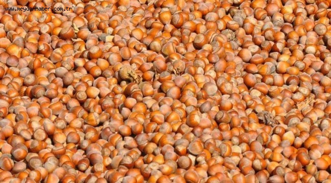 DEVLET Mİ GÜÇLÜ İTALYAN FİRMAMI GÜÇLÜ ŞİMDİ GÖRECEĞİZ